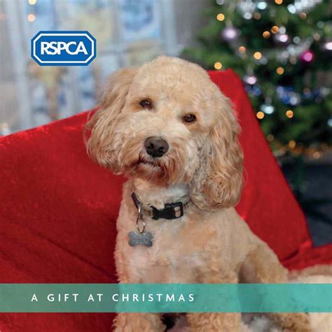 christmas charity gift cards|Charity Gift Cards .